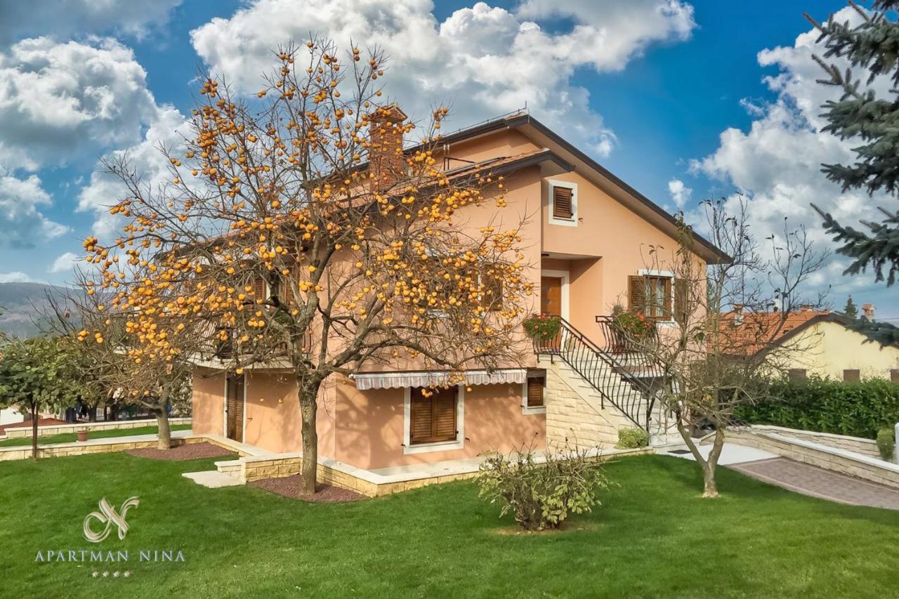 Apartment Nina Pazin Exterior photo